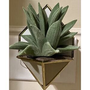 Bath & Body Works Wallflower Diffuser Unit Plug Gold Succulent Plant Geometric